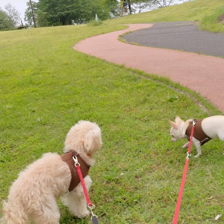 5bd4475c e525 4b0a a078 c37582382170 1716109674153