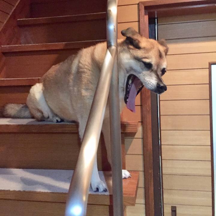 5bd45dfa 5ccc 4fb5 b022 830329d13f53 1573514048917