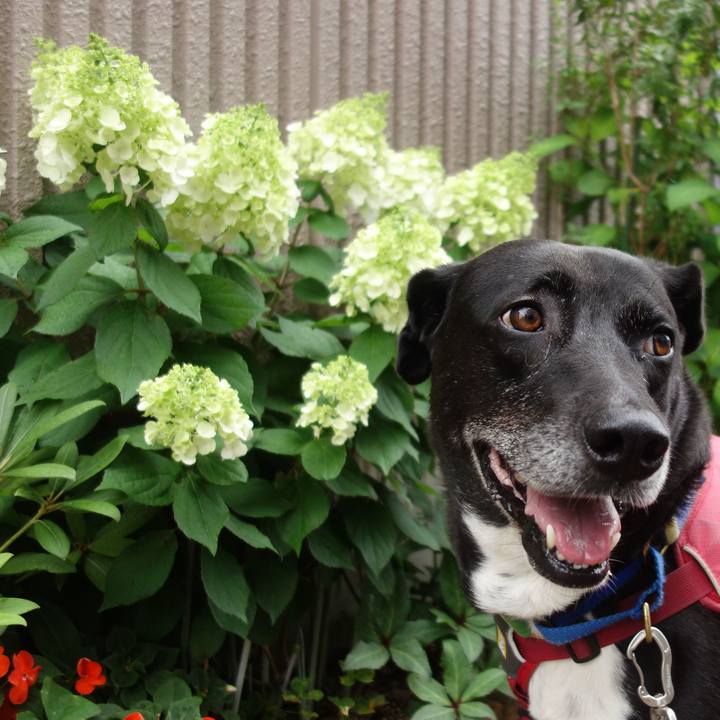 5bd46747 4eb2 4811 9678 5527f4daae76 1688171571638