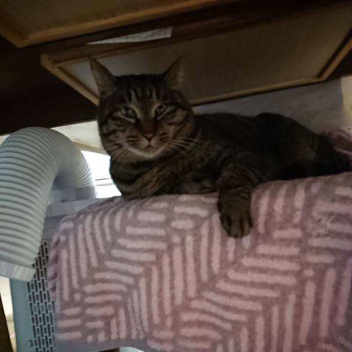 5bd46d46 0478 4906 85e1 d9c7ebcd5d2f 1642589961471