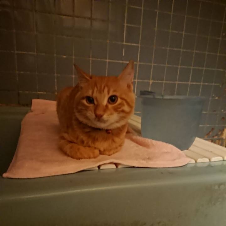 5bd47225 346f 414e ab7f 9114388513cd 1635844807334