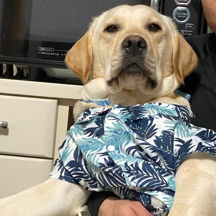 5bd499b7 b64a 40ac 807b 5d488267022b 1645265082989