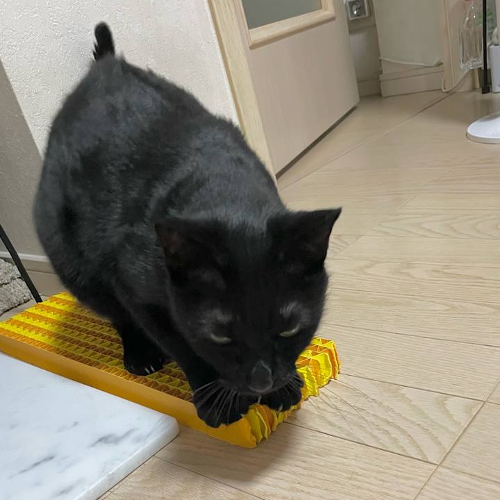 5bd4a5bd edc8 4f37 9efa 8fdd164a6f47 1663343933754