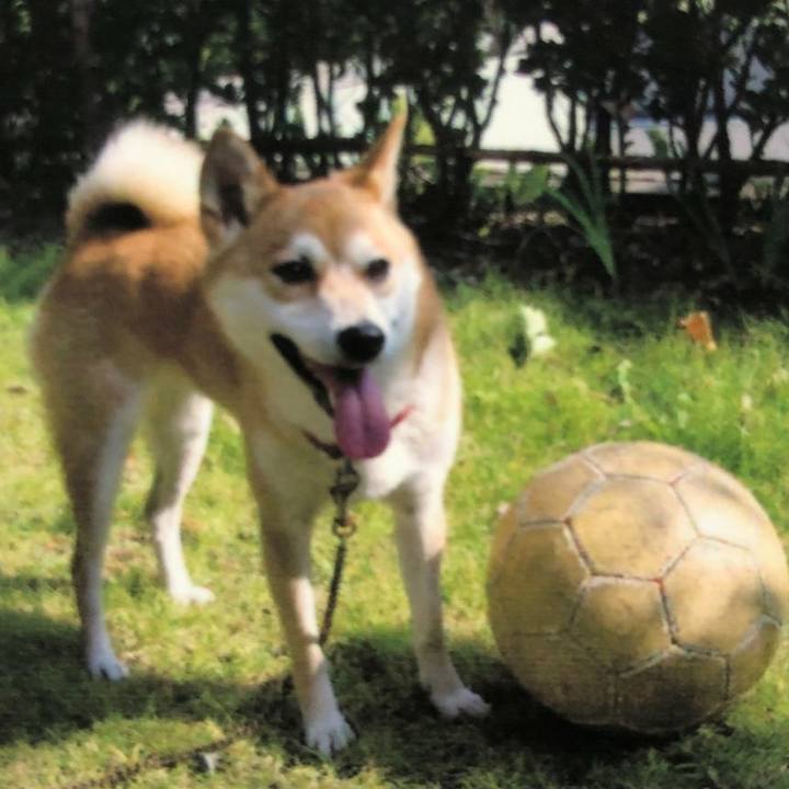 5bd4a7d2 3724 4fdb acd8 05f26683879d 1602298379676