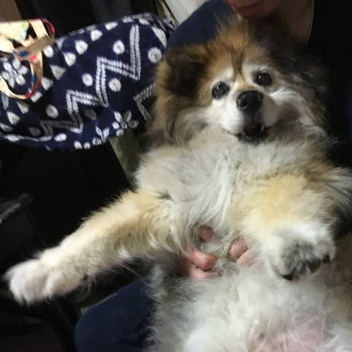 5bd4c740 67f6 4d0b b801 514f0e80d1f7 1587406720205