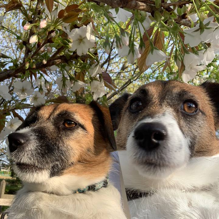 5bd50407 fd2c 4396 8922 0e4811a3567c 1617838523156