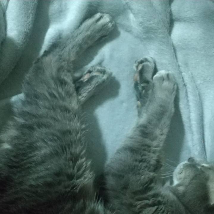 5bd5151b 1f95 4a3f be80 2350d4211448 1697977112663