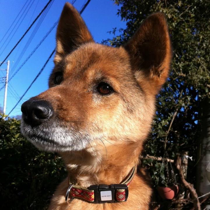 5bd54b32 27cd 48ab 89d0 387cfa50393a 1578472039789