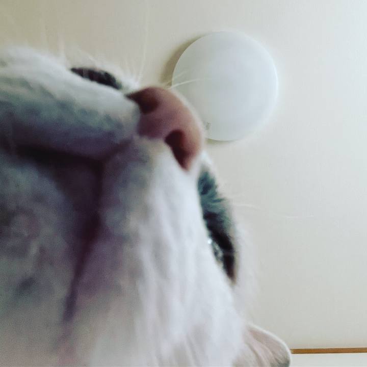 5bd599de 25e7 4c5e 9b7c 659ee001dbdb 1646227333759