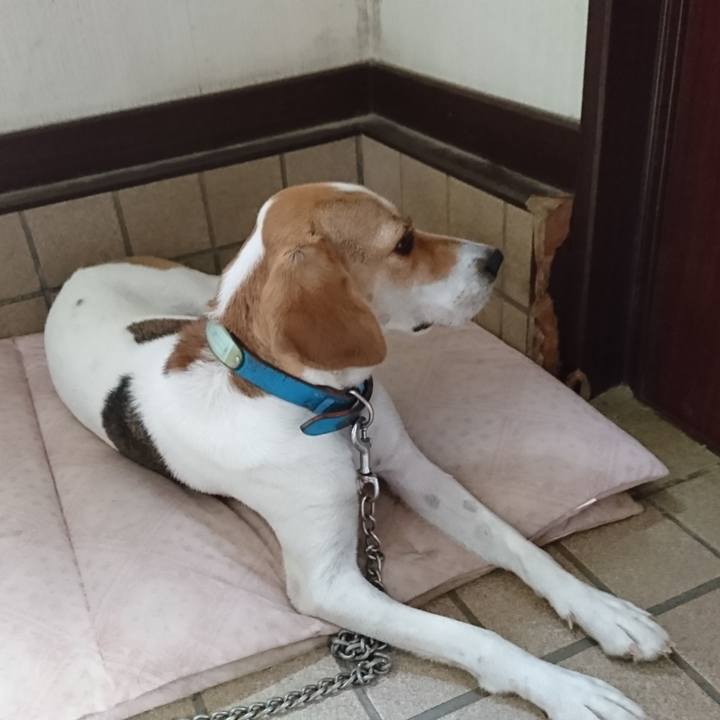 5bd5ae06 e406 417b a880 1869762de1f3 1566360519134