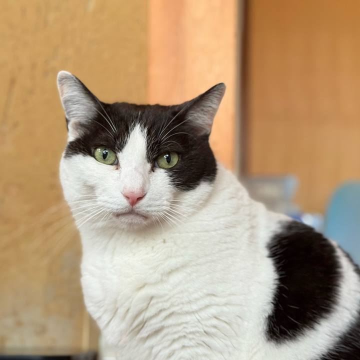 5bd5bdca 632a 487e a642 297b6b886902 1747188249582