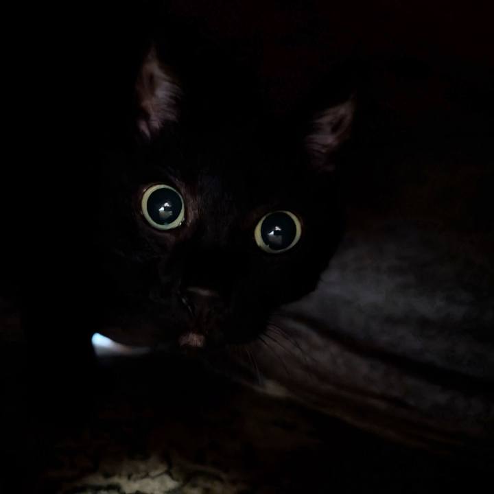 5bd5d421 280c 4bf4 a312 939d1d4348d9 1772148292777