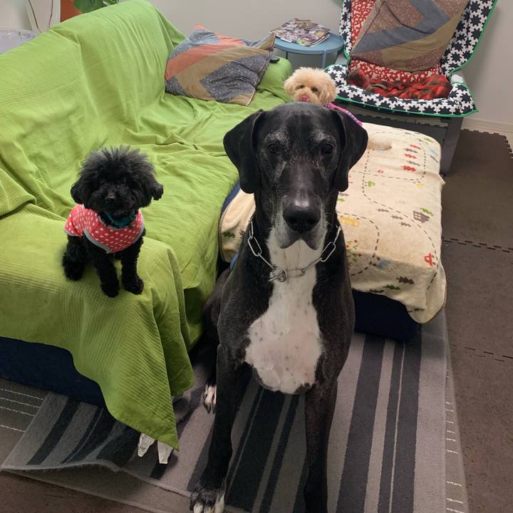 5bd5fe36 7291 4305 8996 e8e9988611d1 1555885773732