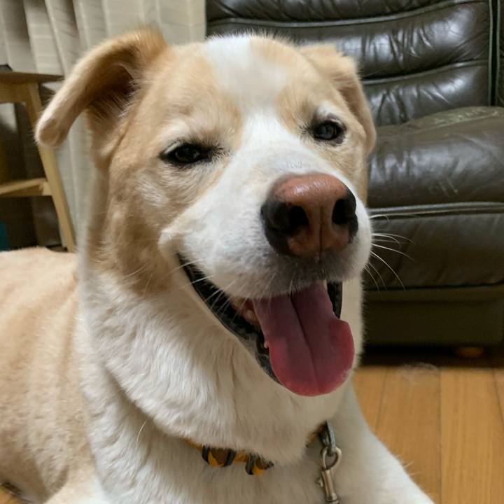 5bd63af5 0c80 4b2b a5b4 4f079670db57 1599902345674