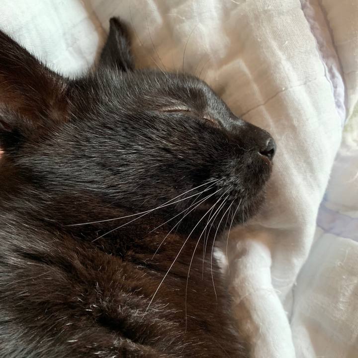 5bd645f6 48ab 4dd9 b68c 9bdec409df04 1557883982150