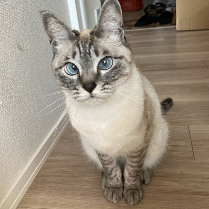 5bd64d7e b711 4bf3 9fab dc97503f0038 1617237942016