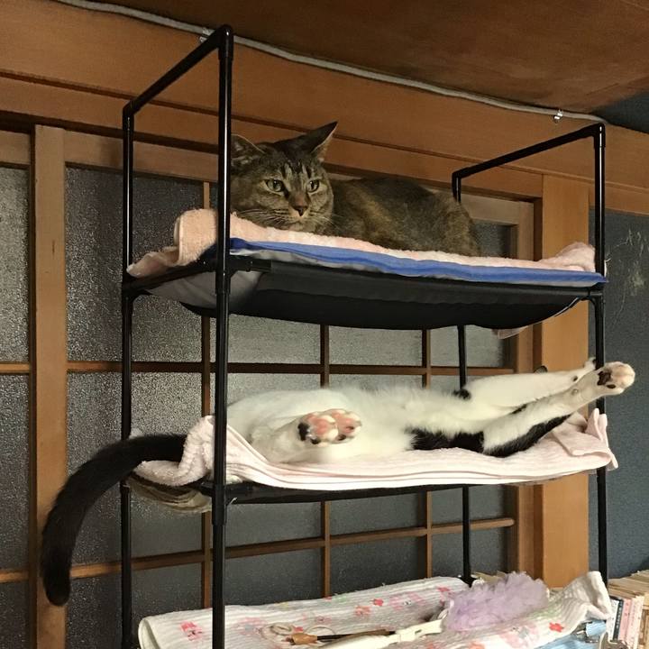 5bd66bbd abbe 43b1 bf72 2e578bb12f20 1689407497311