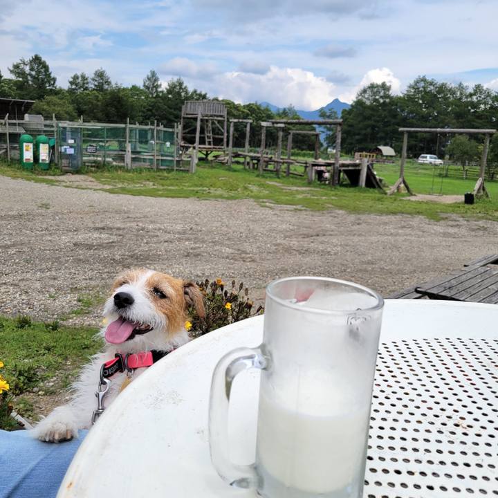 5bd6a6cb e8c9 4b75 9fd7 2d00edf82b52 1661488607655