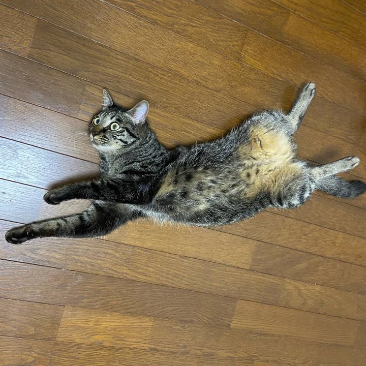 5bd6beaf 37e7 4bbd b3e8 0dcb2985bf8a 1652181276442