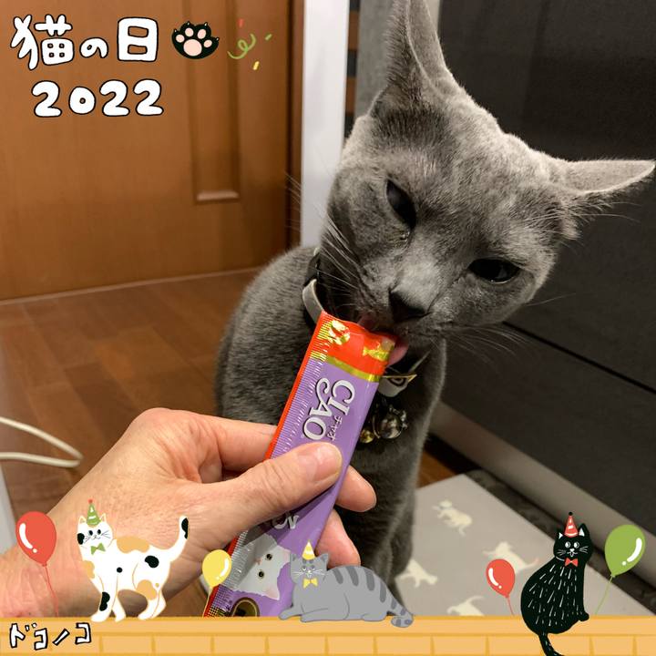 5bd6d711 4a1e 43f3 b38f b0e0b9c56d62 1645524967629