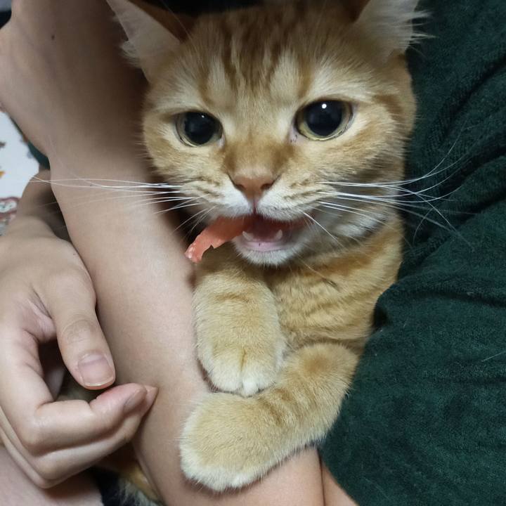 5bd6d83f d828 42e6 94e4 8fe89479c4a0 1599115008892