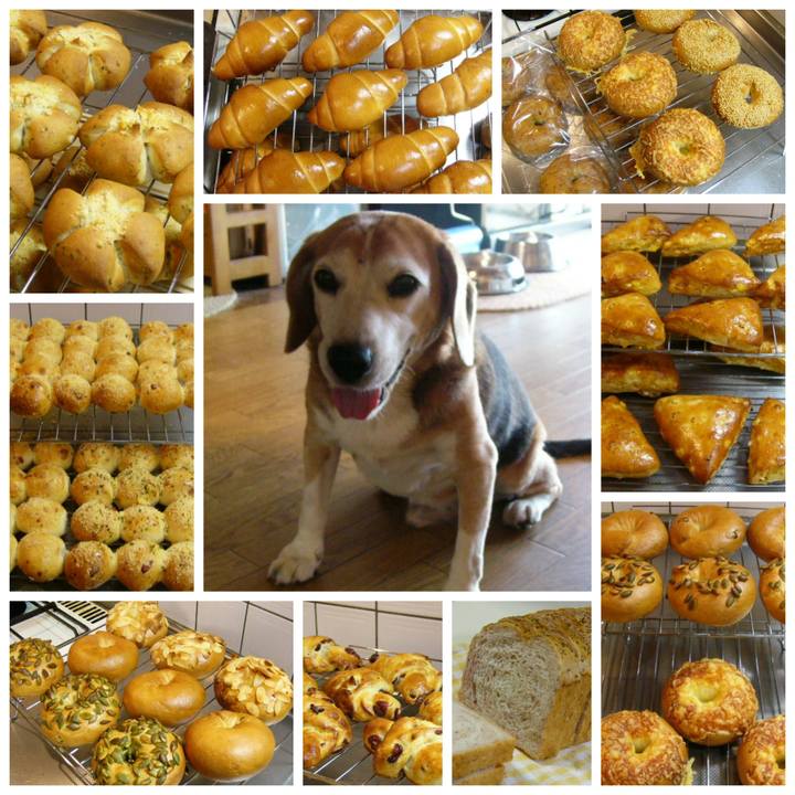 5bd6fac2 a0c3 45b3 b098 507f9c63d2f1 1647650777974