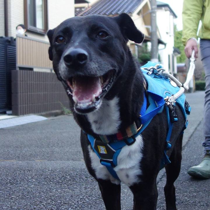 5bd73348 0b72 45a7 8410 71e8be866445 1636505555151