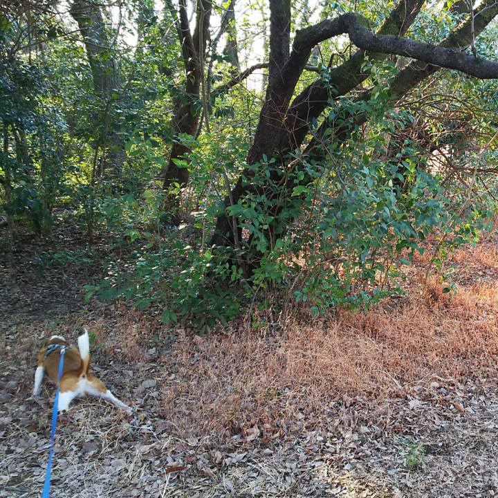 5bd760d7 86b8 4f1c 8452 cc08ac00e0fb 1553642751006