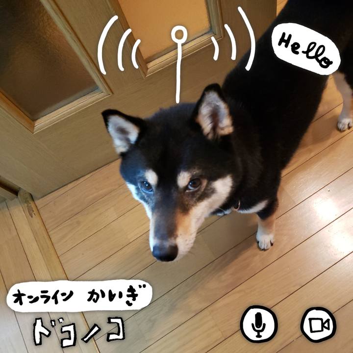 5bd7ad22 7fe1 4c66 9f74 5f6cfb0a4711 1591103278760