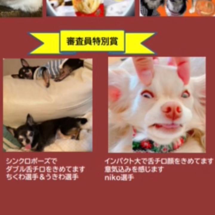 5bd846a1 f7e4 4128 90a2 69dbf77e1f74 1667484020190