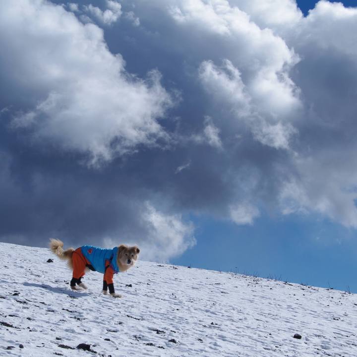 5bd852ec e679 4252 a508 35235efba58e 1673245861825