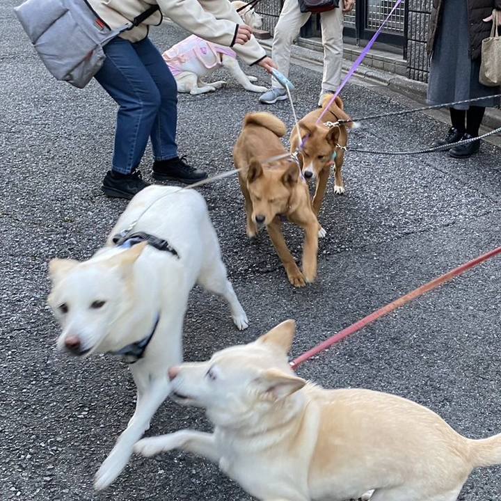 5bd86093 7015 4aa9 9ebd 9c7aff7b4c4f 1679227089015