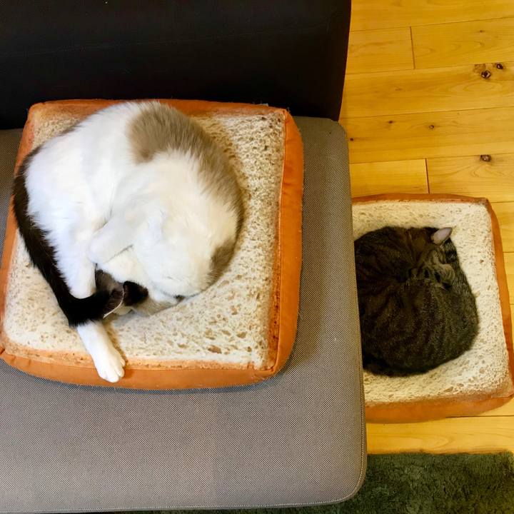 5bd87794 0d02 4e70 99aa 229af3df1161 1548597472196