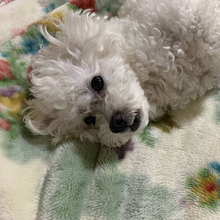 5bd8c530 5f54 4038 ac6e efd8b8abb02c 1706008588851