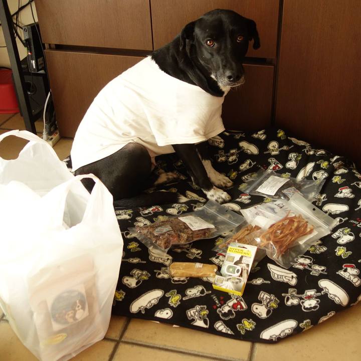 5bd8d77a 2a4e 41c7 9f42 6287b643e6fd 1609065414525