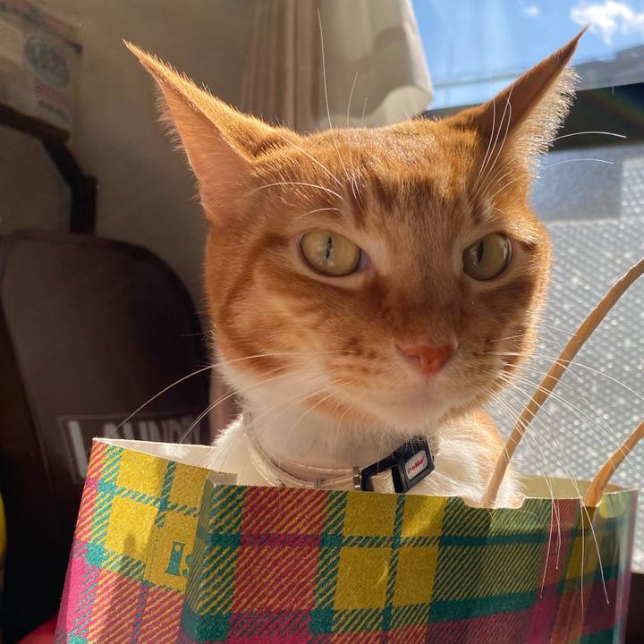 5bd8d857 c3de 454c 8ba3 3dddcf24daa6 1646445367295