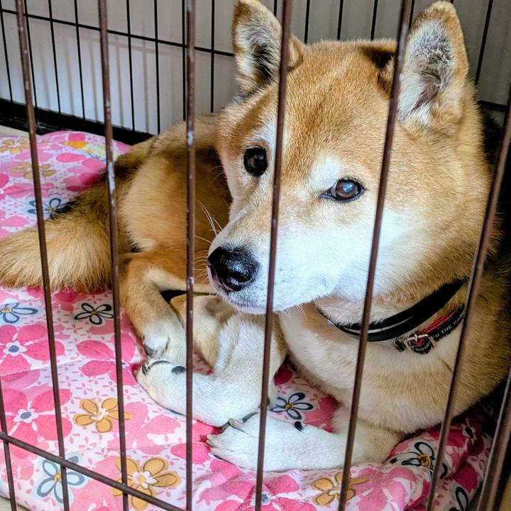 5bd925c3 fc9d 480b a780 0ac55344a8a4 1770368231602