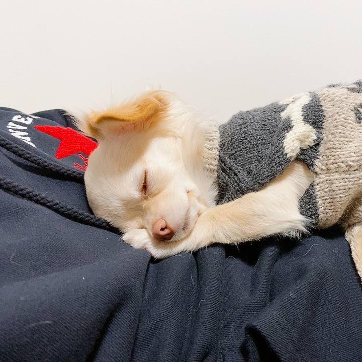 5bd92614 4fe3 4671 b542 3050e4b388e0 1610784828697