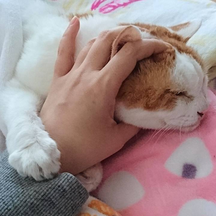 5bd936f3 0568 4038 bc93 abe70ee99b53 1546644369382