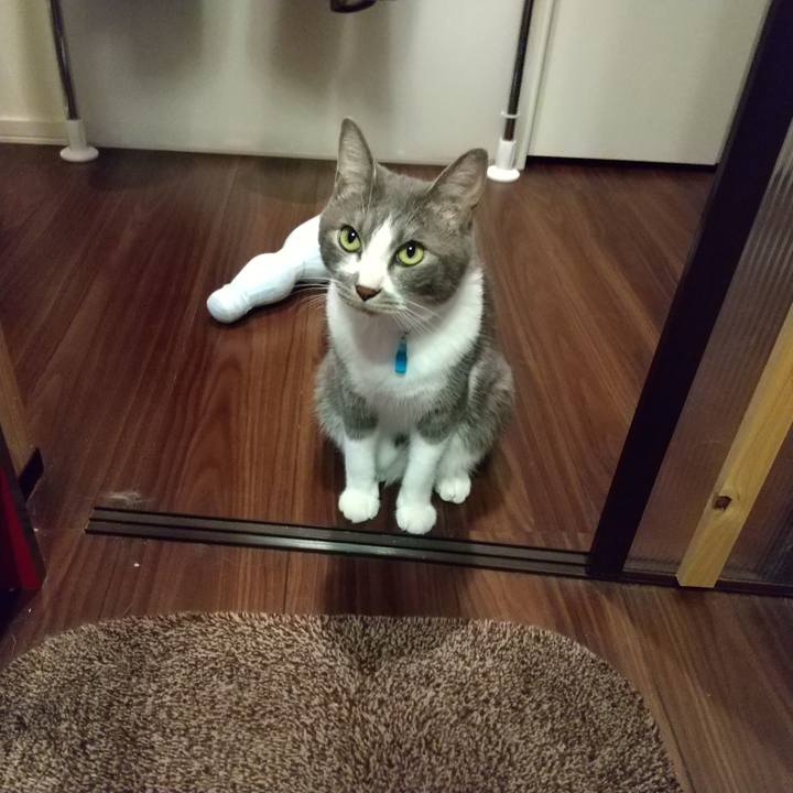 5bd972d7 e74f 407c 9353 f813785f974b 1622888243365