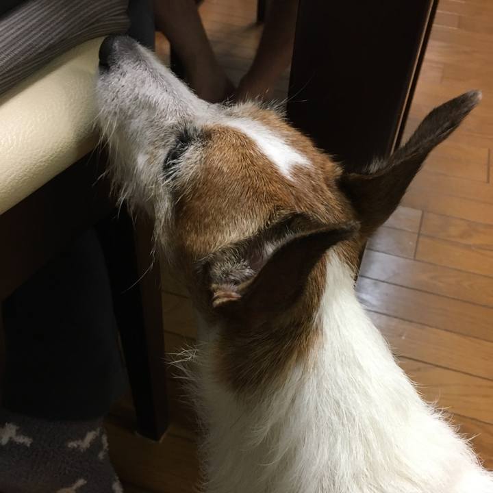 5bd98f48 49a1 4bb6 9b56 7c611897d5e8 1631230012855