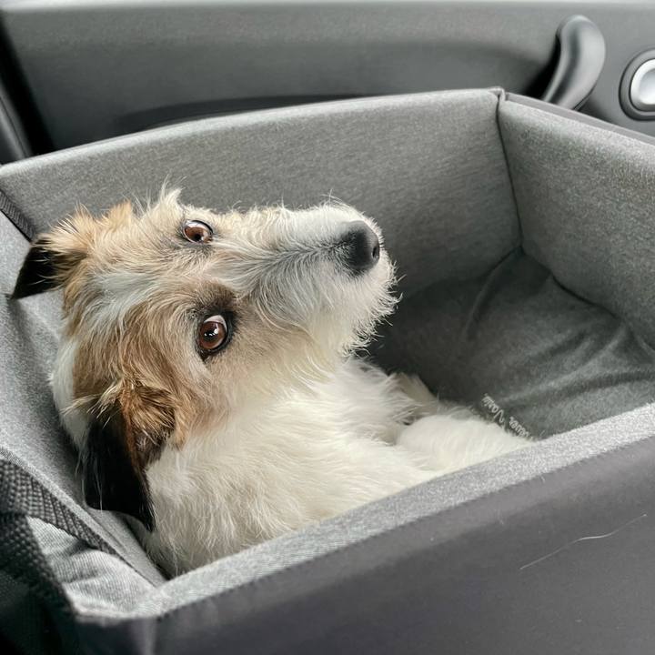 5bd9b771 e391 4f33 9525 11e67854605a 1680840993991