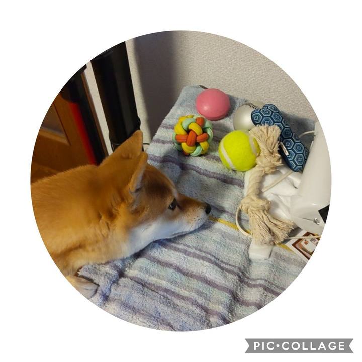 5bd9bc40 251e 44f5 b6a4 915ad9b7aebb 1671057816585