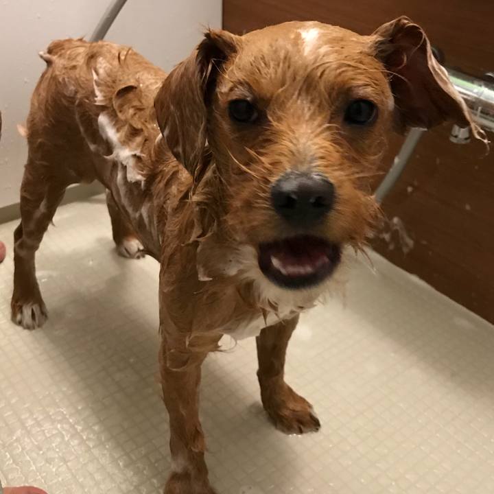 5bd9c0c4 f7e9 40c8 b153 bd43a10cef5b 1527661007412