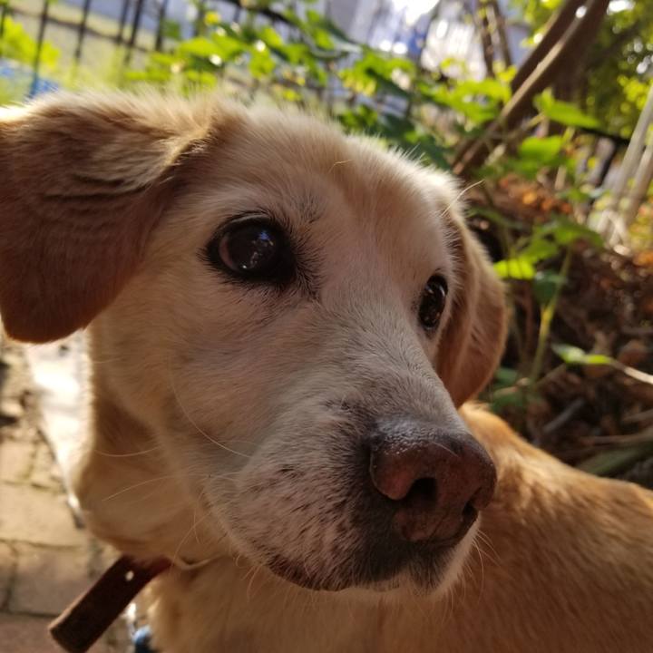 5bd9f807 c0e9 45ff a464 6a6eb60a2663 1650405384978