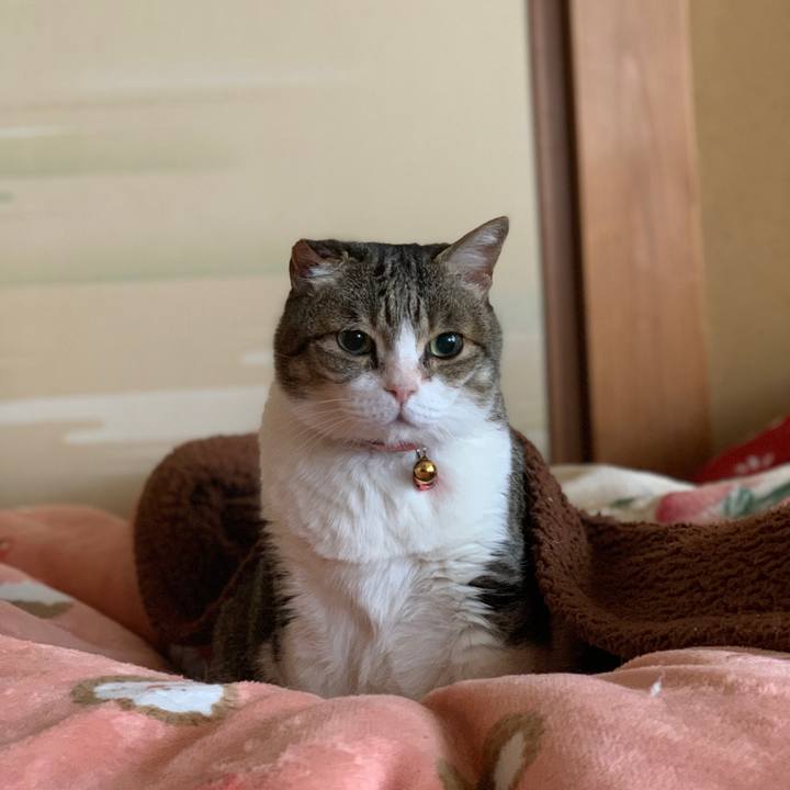 5bda09f0 ce65 415a 9efa c886f016c030 1710551235549