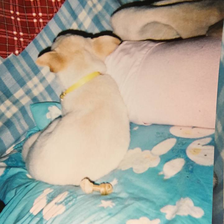 5bda2ce5 67b1 4e5d 9d90 c4929b538bee 1523449361956