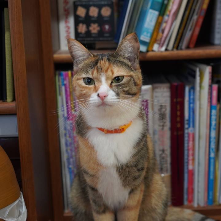 5bda589f bf21 4c48 acf0 7dfe6137376e 1638400450011