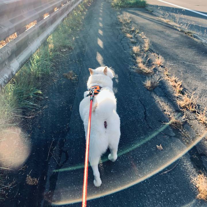 5bda7125 4f58 4823 9fe5 ed443f32eac7 1636154407058