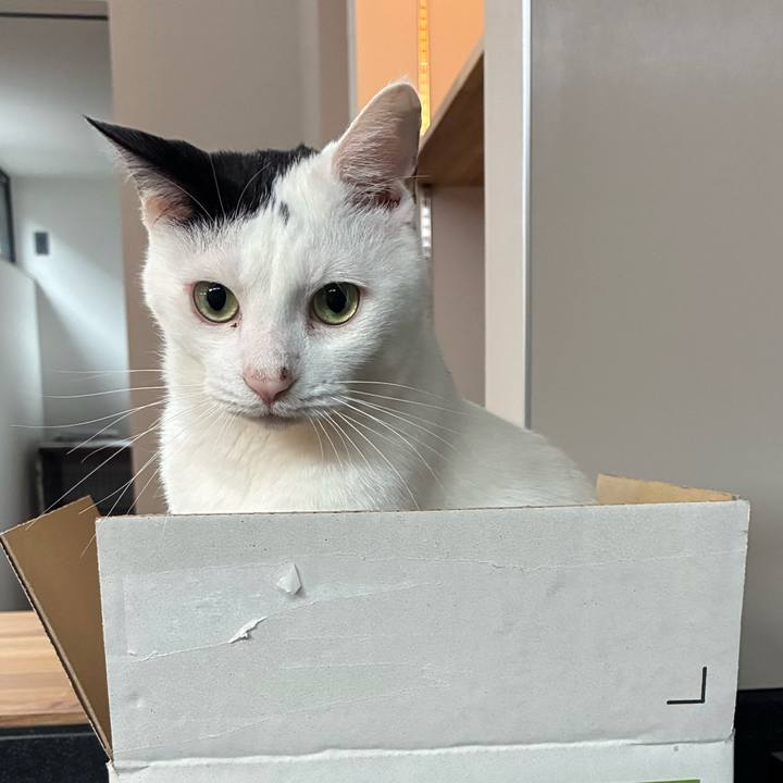 5bda89a5 af7d 44da 9f7f 92188522761f 1757285766527